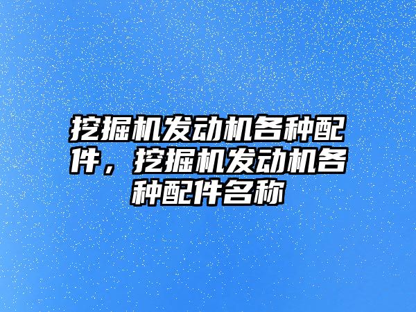 挖掘機發(fā)動機各種配件，挖掘機發(fā)動機各種配件名稱