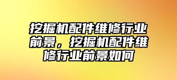 挖掘機配件維修行業(yè)前景，挖掘機配件維修行業(yè)前景如何