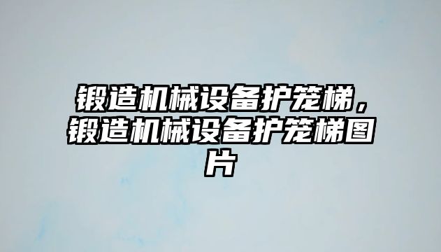 鍛造機械設(shè)備護籠梯，鍛造機械設(shè)備護籠梯圖片