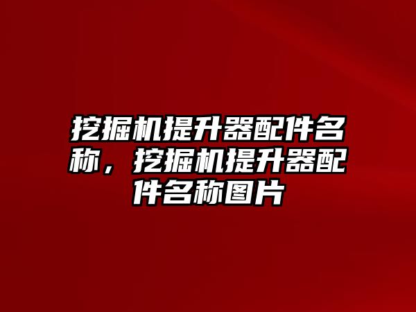 挖掘機(jī)提升器配件名稱，挖掘機(jī)提升器配件名稱圖片