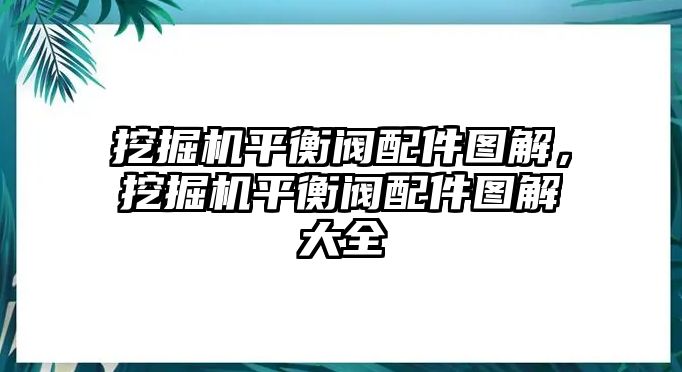 挖掘機(jī)平衡閥配件圖解，挖掘機(jī)平衡閥配件圖解大全