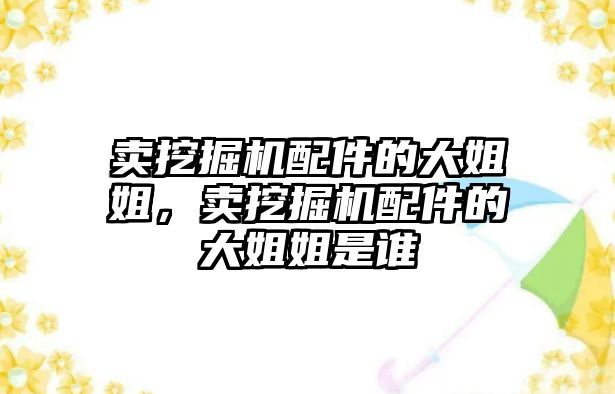 賣挖掘機配件的大姐姐，賣挖掘機配件的大姐姐是誰