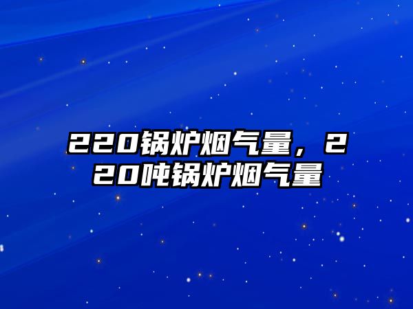 220鍋爐煙氣量，220噸鍋爐煙氣量