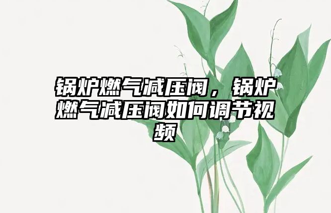 鍋爐燃?xì)鉁p壓閥，鍋爐燃?xì)鉁p壓閥如何調(diào)節(jié)視頻