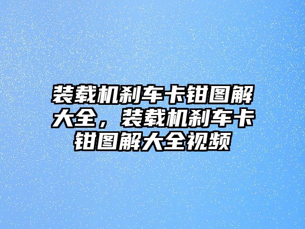 裝載機(jī)剎車卡鉗圖解大全，裝載機(jī)剎車卡鉗圖解大全視頻