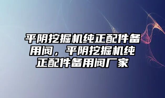 平陰挖掘機(jī)純正配件備用閥，平陰挖掘機(jī)純正配件備用閥廠家