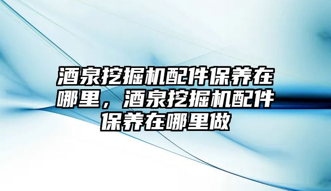 酒泉挖掘機配件保養(yǎng)在哪里，酒泉挖掘機配件保養(yǎng)在哪里做