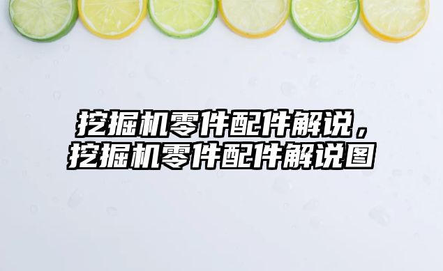 挖掘機零件配件解說，挖掘機零件配件解說圖