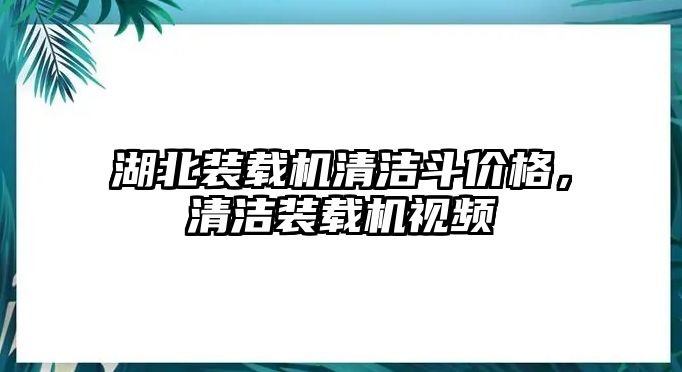 湖北裝載機清潔斗價格，清潔裝載機視頻