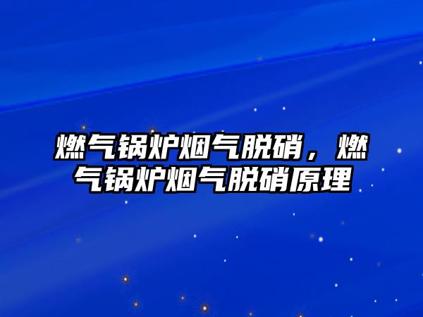 燃氣鍋爐煙氣脫硝，燃氣鍋爐煙氣脫硝原理