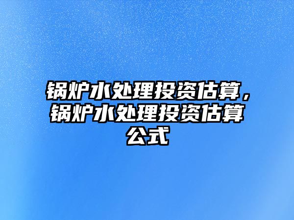 鍋爐水處理投資估算，鍋爐水處理投資估算公式