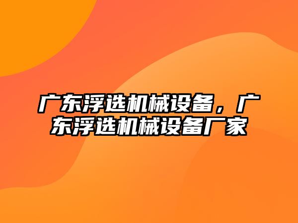 廣東浮選機械設備，廣東浮選機械設備廠家