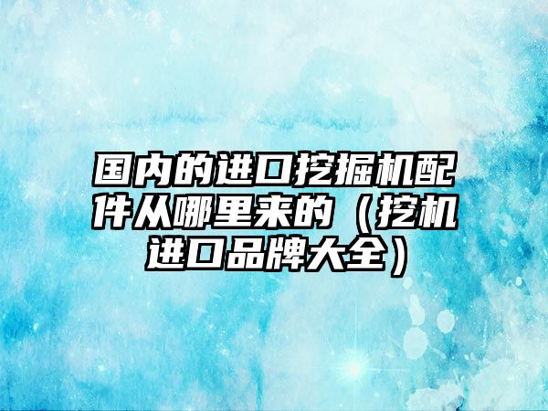 國內(nèi)的進口挖掘機配件從哪里來的（挖機進口品牌大全）