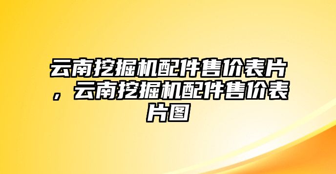 云南挖掘機(jī)配件售價(jià)表片，云南挖掘機(jī)配件售價(jià)表片圖