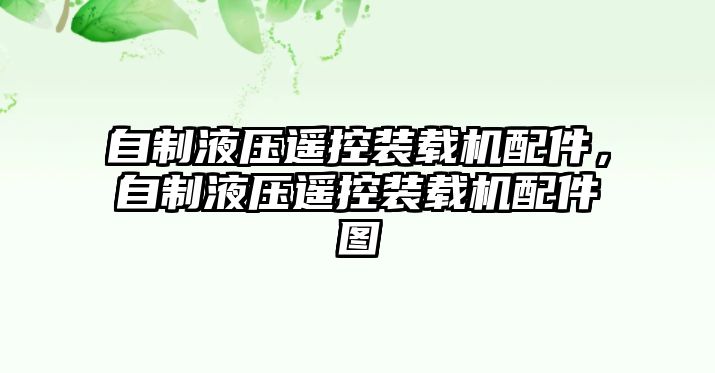 自制液壓遙控裝載機(jī)配件，自制液壓遙控裝載機(jī)配件圖