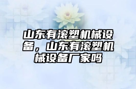 山東有滾塑機(jī)械設(shè)備，山東有滾塑機(jī)械設(shè)備廠家嗎