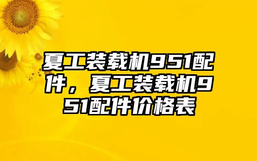 夏工裝載機(jī)951配件，夏工裝載機(jī)951配件價(jià)格表