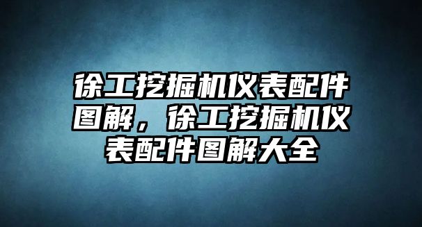 徐工挖掘機(jī)儀表配件圖解，徐工挖掘機(jī)儀表配件圖解大全