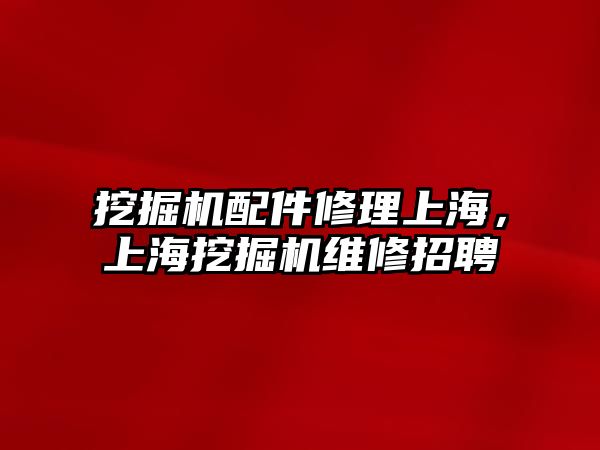 挖掘機配件修理上海，上海挖掘機維修招聘