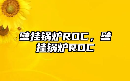 壁掛鍋爐ROC，壁掛鍋爐ROC