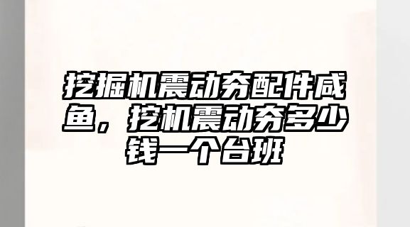 挖掘機震動夯配件咸魚，挖機震動夯多少錢一個臺班