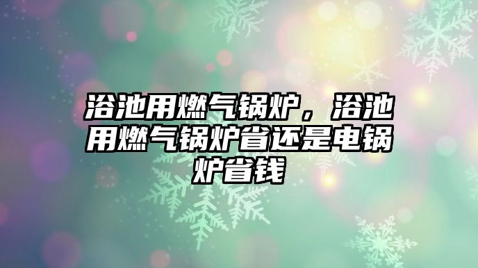 浴池用燃?xì)忮仩t，浴池用燃?xì)忮仩t省還是電鍋爐省錢