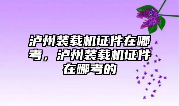 瀘州裝載機證件在哪考，瀘州裝載機證件在哪考的