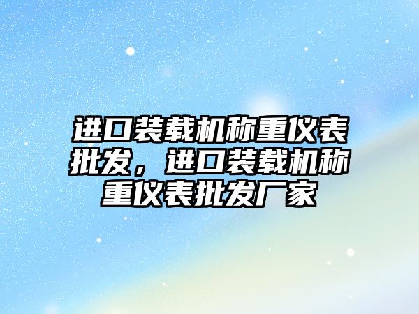 進口裝載機稱重儀表批發(fā)，進口裝載機稱重儀表批發(fā)廠家