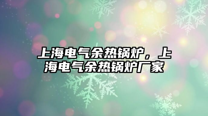 上海電氣余熱鍋爐，上海電氣余熱鍋爐廠家