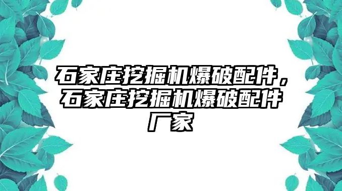 石家莊挖掘機爆破配件，石家莊挖掘機爆破配件廠家