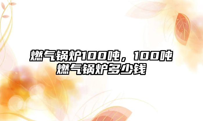 燃?xì)忮仩t100噸，100噸燃?xì)忮仩t多少錢