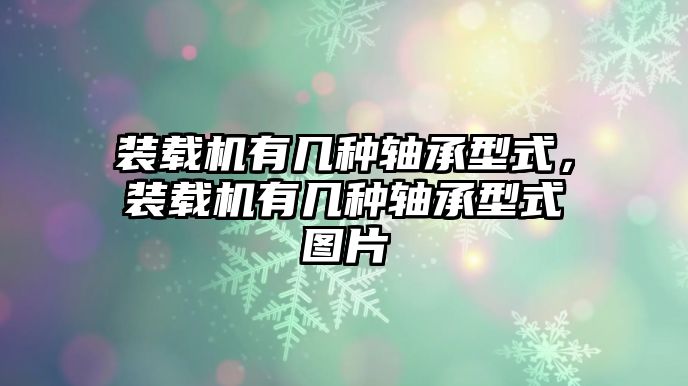 裝載機(jī)有幾種軸承型式，裝載機(jī)有幾種軸承型式圖片