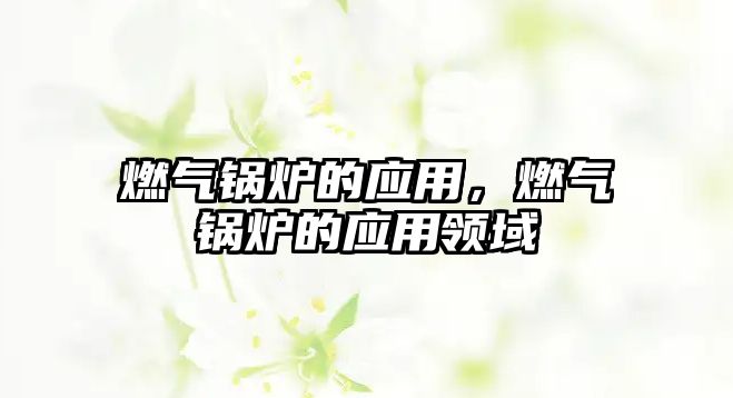 燃?xì)忮仩t的應(yīng)用，燃?xì)忮仩t的應(yīng)用領(lǐng)域