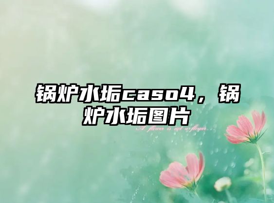 鍋爐水垢caso4，鍋爐水垢圖片