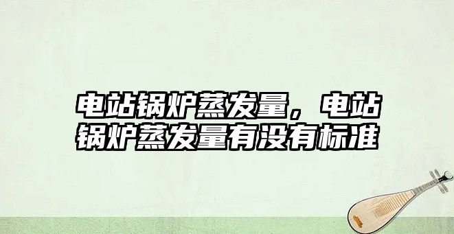 電站鍋爐蒸發(fā)量，電站鍋爐蒸發(fā)量有沒有標(biāo)準(zhǔn)