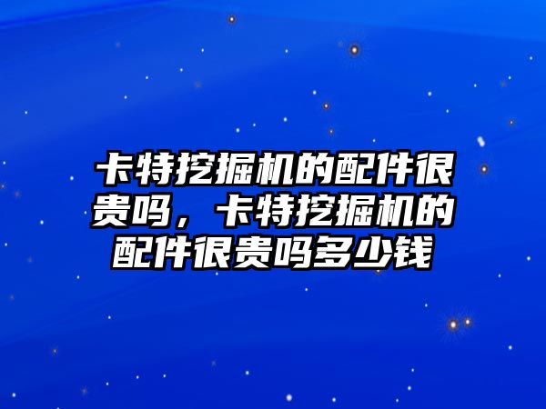 卡特挖掘機的配件很貴嗎，卡特挖掘機的配件很貴嗎多少錢