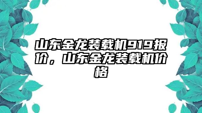 山東金龍裝載機(jī)919報(bào)價(jià)，山東金龍裝載機(jī)價(jià)格