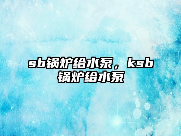 sb鍋爐給水泵，ksb鍋爐給水泵