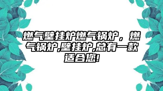 燃?xì)獗趻鞝t燃?xì)忮仩t，燃?xì)忮仩t,壁掛爐,總有一款適合您!