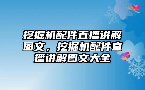 挖掘機(jī)配件直播講解圖文，挖掘機(jī)配件直播講解圖文大全