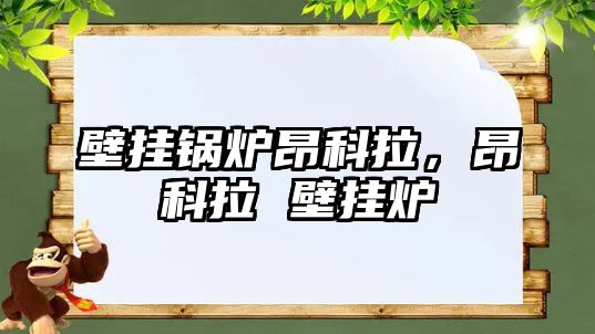 壁掛鍋爐昂科拉，昂科拉 壁掛爐