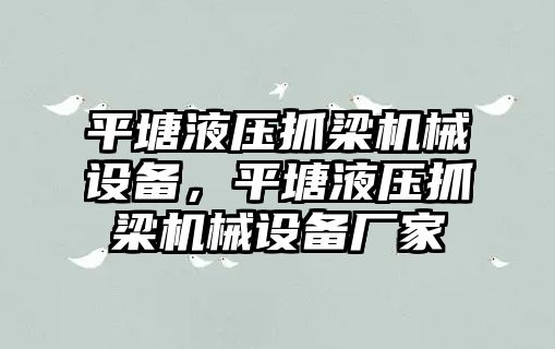 平塘液壓抓梁機械設(shè)備，平塘液壓抓梁機械設(shè)備廠家