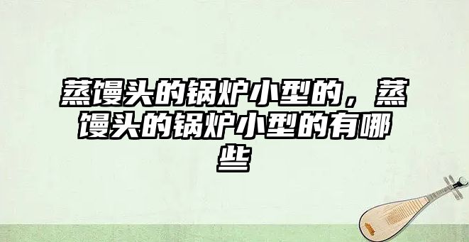 蒸饅頭的鍋爐小型的，蒸饅頭的鍋爐小型的有哪些