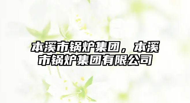 本溪市鍋爐集團，本溪市鍋爐集團有限公司