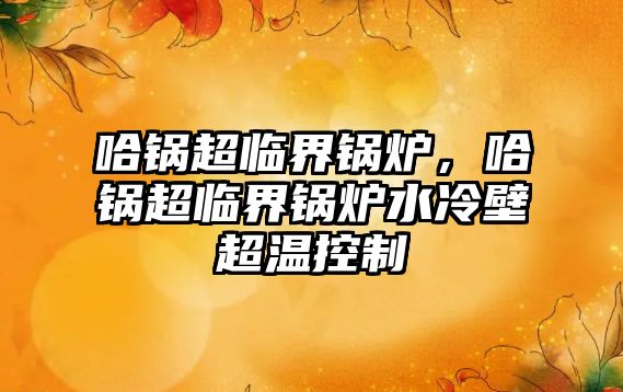 哈鍋超臨界鍋爐，哈鍋超臨界鍋爐水冷壁超溫控制