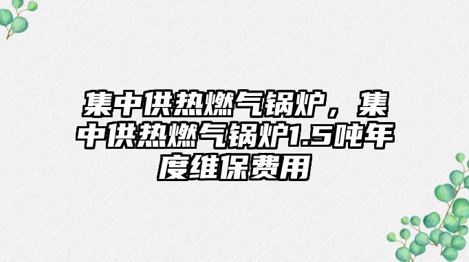 集中供熱燃氣鍋爐，集中供熱燃氣鍋爐1.5噸年度維保費用