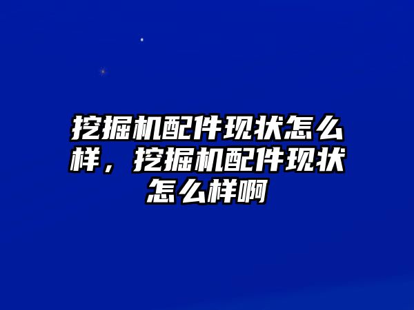 挖掘機(jī)配件現(xiàn)狀怎么樣，挖掘機(jī)配件現(xiàn)狀怎么樣啊