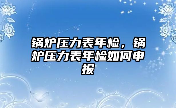 鍋爐壓力表年檢，鍋爐壓力表年檢如何申報