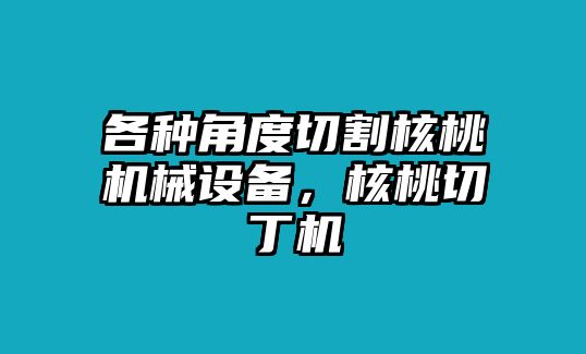 各種角度切割核桃機(jī)械設(shè)備，核桃切丁機(jī)