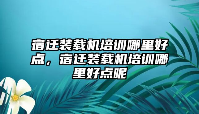 宿遷裝載機培訓(xùn)哪里好點，宿遷裝載機培訓(xùn)哪里好點呢